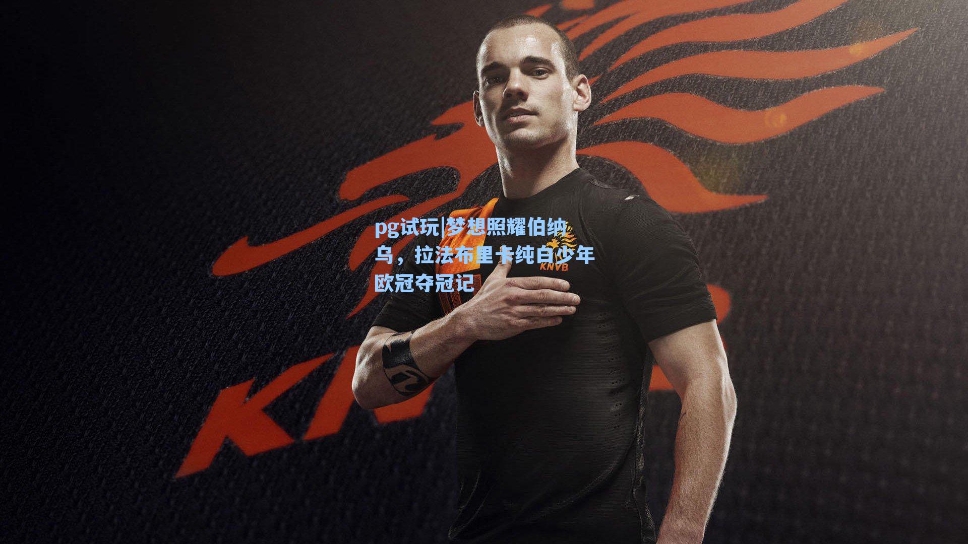 梦想照耀伯纳乌,拉法布里卡纯白少年欧冠夺冠记